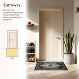 Ultra Soft Area Rug, Non Slip, Stain Resistant, Washable Area Rugs for Living Room, Bedroom, Elegant Ombre Cosmic Design(Gray)