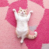 Ultra Soft Area Rug, Non Slip, Stain Resistant, Washable Area Rugs for Living Room, Bedroom, Cute Pink Cat Rug for Kids Bedroom(Pink)