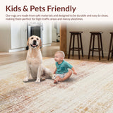 Ultra Soft Area Rug, Non Slip, Stain Resistant, Washable Area Rugs for Living Room, Bedroom, Modern Boho Rug:  Tan & Peach Tones(Beige)