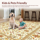 Ultra Soft Area Rug, Non Slip, Stain Resistant, Washable Area Rugs for Living Room, Bedroom, Beige Geometric Area Contemporary Boho Vibes(Ivory)