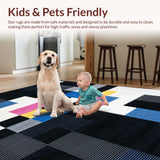 Ultra Soft Area Rug, Non Slip, Stain Resistant, Washable Area Rugs for Living Room, Bedroom, Sleek Abstract Linear Motif(Black)