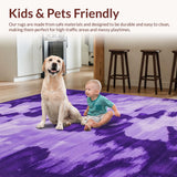 Ultra Soft Area Rug, Non Slip, Stain Resistant, Washable Area Rugs for Living Room, Bedroom, Whimsical Tie-Dyed Dreamscape(Purple)