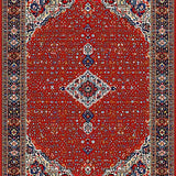 Ultra Soft Area Rug, Non Slip, Stain Resistant, Washable Area Rugs for Living Room, Bedroom, Chic Transitional Ethnic Textures(Red)