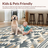 Ultra Soft Area Rug, Non Slip, Stain Resistant, Washable Area Rugs for Living Room, Bedroom, Sleek Contemporary Abstract Aesthetic(Gray)