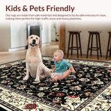Ultra Soft Area Rug, Non Slip, Stain Resistant, Washable Area Rugs for Living Room, Bedroom, Dramatic Black Ivory Geometric Fusion(Black)