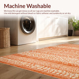 Ultra Soft Area Rug, Non Slip, Stain Resistant, Washable Area Rugs for Living Room, Bedroom, Rustic Burnt Orange Rug(Orange)