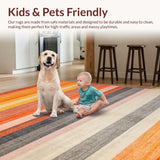 Ultra Soft Area Rug, Non Slip, Stain Resistant, Washable Area Rugs for Living Room, Bedroom, Chic Minimalist Tassel Accents(Orange)