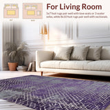 Ultra Soft Area Rug, Non Slip, Stain Resistant, Washable Area Rugs for Living Room, Bedroom, Contemporary Cozy Memory Foam Style(Purple)