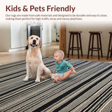 Ultra Soft Area Rug, Non Slip, Stain Resistant, Washable Area Rugs for Living Room, Bedroom, Chic Linear Patterned Art Piece(Black)