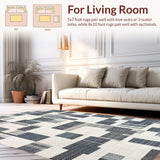 Ultra Soft Area Rug, Non Slip, Stain Resistant, Washable Area Rugs for Living Room, Bedroom, Contemporary Rug: Black And White Geometric Striped Design(Gray)