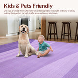 Ultra Soft Area Rug, Non Slip, Stain Resistant, Washable Area Rugs for Living Room, Bedroom, Elegant Shaggy Contemporary Look(Purple)