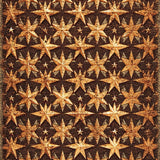 Ultra Soft Area Rug, Non Slip, Stain Resistant, Washable Area Rugs for Living Room, Bedroom, Western Texas Star Kitchen Rustic Area Carpet(Brown)