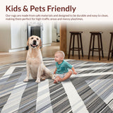 Ultra Soft Area Rug, Non Slip, Stain Resistant, Washable Area Rugs for Living Room, Bedroom, Elegant Abstract Grey Aesthetic(Gray)
