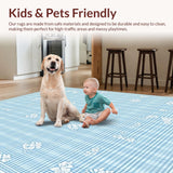 Ultra Soft Area Rug, Non Slip, Stain Resistant, Washable Area Rugs for Living Room, Bedroom, Light Blue and White Gingham(Blue)