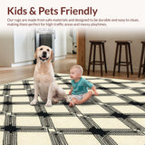 Ultra Soft Area Rug, Non Slip, Stain Resistant, Washable Area Rugs for Living Room, Bedroom, Interwoven Lattice in Neutral Tones(Beige)
