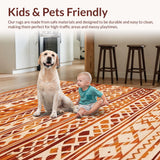 Ultra Soft Area Rug, Non Slip, Stain Resistant, Washable Area Rugs for Living Room, Bedroom, Trendy Soft Shag Surface(Brown)