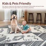 Ultra Soft Area Rug, Non Slip, Stain Resistant, Washable Area Rugs for Living Room, Bedroom, Luxurious Monochrome Fringe Design(Black)