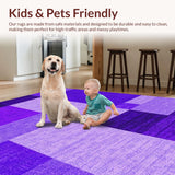 Ultra Soft Area Rug, Non Slip, Stain Resistant, Washable Area Rugs for Living Room, Bedroom, Vibrant Soft Furry Home Accent(Purple)