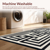 Ultra Soft Area Rug, Non Slip, Stain Resistant, Washable Area Rugs for Living Room, Bedroom, Contemporary Black and Ivory Fusion(Black)