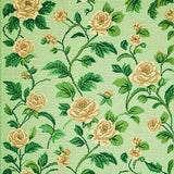 Ultra Soft Area Rug, Non Slip, Stain Resistant, Washable Area Rugs for Living Room, Bedroom, Washable Non-Slip Area Rug for Office Decor(Green)