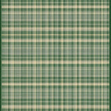 Chic Olive Green Plaid Aesthetic(Beige)