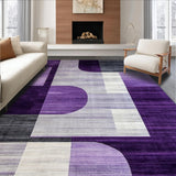 Ultra Soft Area Rug, Non Slip, Stain Resistant, Washable Area Rugs for Living Room, Bedroom, Chic Transitional Textured Floor Accent(Purple)