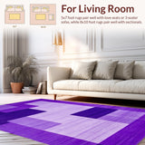 Ultra Soft Area Rug, Non Slip, Stain Resistant, Washable Area Rugs for Living Room, Bedroom, Contemporary Soft Shag Aesthetic(Purple)