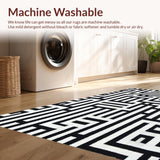 Ultra Soft Area Rug, Non Slip, Stain Resistant, Washable Area Rugs for Living Room, Bedroom, Contemporary Striped Area Rug Black and White Linear Design(Black)
