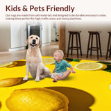 Ultra Soft Area Rug, Non Slip, Stain Resistant, Washable Area Rugs for Living Room, Bedroom, Playful Citrus Color Splash(Yellow)