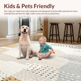 Ultra Soft Area Rug, Non Slip, Stain Resistant, Washable Area Rugs for Living Room, Bedroom, Area Absorbent(Beige)