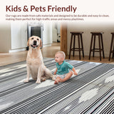Ultra Soft Area Rug, Non Slip, Stain Resistant, Washable Area Rugs for Living Room, Bedroom, Artful Geometric Stripe Composition(Black)