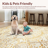 Ultra Soft Area Rug, Non Slip, Stain Resistant, Washable Area Rugs for Living Room, Bedroom, Elegant Earth Tone Geometric Mosaic(White)