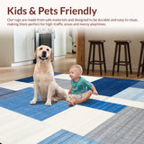 Ultra Soft Area Rug, Non Slip, Stain Resistant, Washable Area Rugs for Living Room, Bedroom, Sophisticated Blue Tones with Texture(Blue)