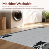Ultra Soft Area Rug, Non Slip, Stain Resistant, Washable Area Rugs for Living Room, Bedroom, Modern Outdoor Balcony Camping Waterproof Mat(Black)