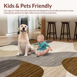 Ultra Soft Area Rug, Non Slip, Stain Resistant, Washable Area Rugs for Living Room, Bedroom, Cozy Earthy Toned Expressions(Beige)