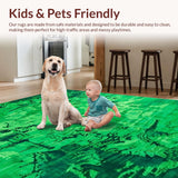 Ultra Soft Area Rug, Non Slip, Stain Resistant, Washable Area Rugs for Living Room, Bedroom, Lush Indoor Tie-Dye Appeal(Green)