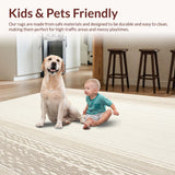 Ultra Soft Area Rug, Non Slip, Stain Resistant, Washable Area Rugs for Living Room, Bedroom, Boho Chic Area Creamy Beige Texture(Beige)
