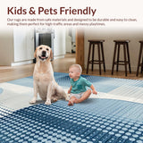 Ultra Soft Area Rug, Non Slip, Stain Resistant, Washable Area Rugs for Living Room, Bedroom, Minimalist Soft Blue Tones(Blue)