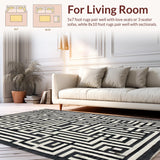 Ultra Soft Area Rug, Non Slip, Stain Resistant, Washable Area Rugs for Living Room, Bedroom, Monochromatic Maze: Modern Black And White Striped Rug(Black)