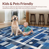 Ultra Soft Area Rug, Non Slip, Stain Resistant, Washable Area Rugs for Living Room, Bedroom, Serene Monochrome Abstract Flow(Blue)