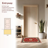 Ultra Soft Area Rug, Non Slip, Stain Resistant, Washable Area Rugs for Living Room, Bedroom, Chic Modern Abstract Design(Red)