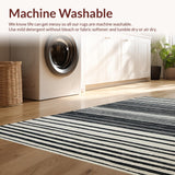Ultra Soft Area Rug, Non Slip, Stain Resistant, Washable Area Rugs for Living Room, Bedroom, Scandinavian Minimalist Rug With Graphic Linear Design(Black)