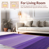Ultra Soft Area Rug, Non Slip, Stain Resistant, Washable Area Rugs for Living Room, Bedroom, Elegant Modern Fluffy Design(Purple)
