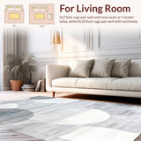 Ultra Soft Area Rug, Non Slip, Stain Resistant, Washable Area Rugs for Living Room, Bedroom, Contemporary Shaggy Textured Aesthetic(Gray)
