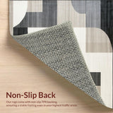 Ultra Soft Area Rug, Non Slip, Stain Resistant, Washable Area Rugs for Living Room, Bedroom, Artistic Kitchen Runner Modern Beige & Abstract Geometric Area(Gray)