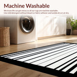 Ultra Soft Area Rug, Non Slip, Stain Resistant, Washable Area Rugs for Living Room, Bedroom, Stylish Entryway Rug High Contrast(Black)