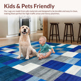 Ultra Soft Area Rug, Non Slip, Stain Resistant, Washable Area Rugs for Living Room, Bedroom, Chic Contemporary Symmetrical Elements(Blue)