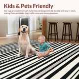 Ultra Soft Area Rug, Non Slip, Stain Resistant, Washable Area Rugs for Living Room, Bedroom, Hand Woven Rug: Bold Contrast Stripe Woven Floor Accent(Black)