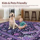 Ultra Soft Area Rug, Non Slip, Stain Resistant, Washable Area Rugs for Living Room, Bedroom, Eclectic Vintage Colorful Motif(Blue)