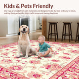 Ultra Soft Area Rug, Non Slip, Stain Resistant, Washable Area Rugs for Living Room, Bedroom, Floral Patterned(Ivory)